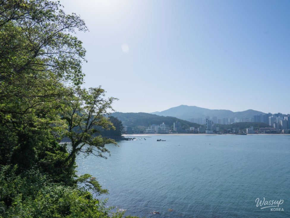 Healing at Ilgwang Beach: A Hidden Gem_02