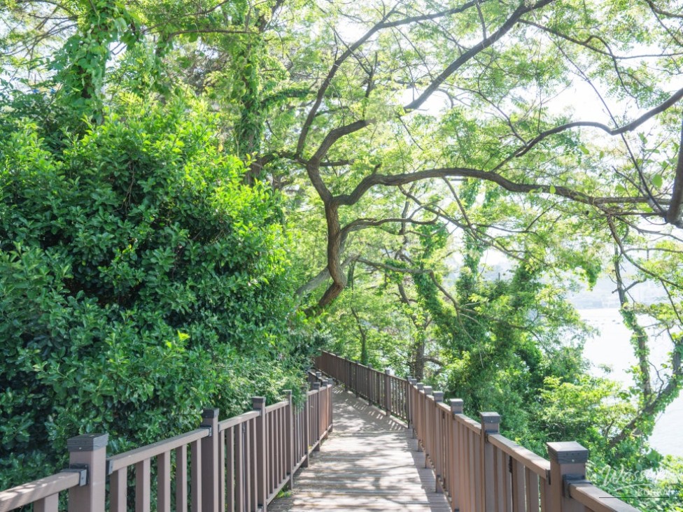 Healing at Ilgwang Beach: A Hidden Gem_03