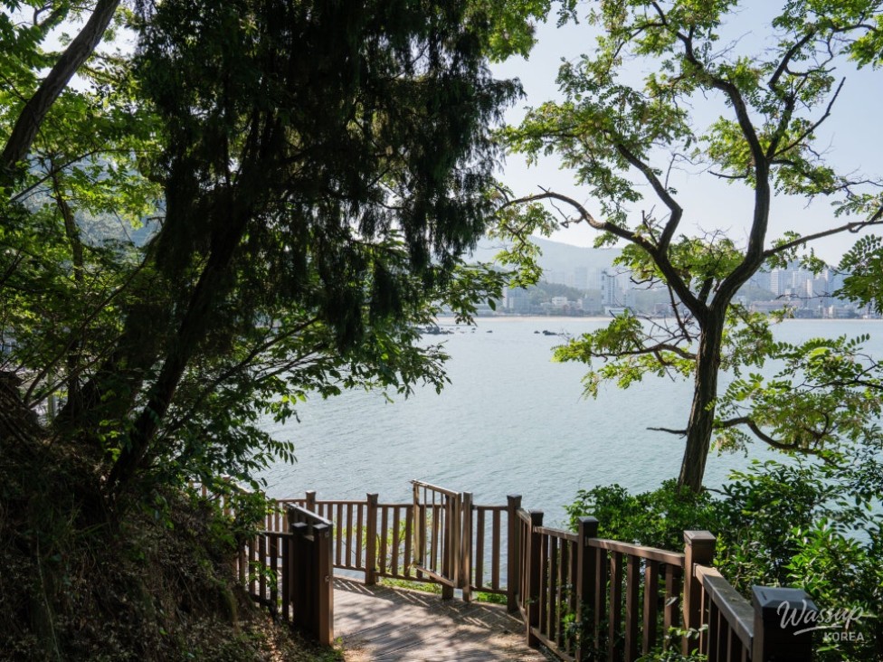 Healing at Ilgwang Beach: A Hidden Gem_04