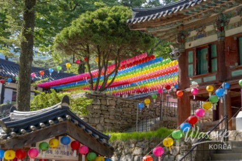 A Perfect Day at Palgok Mountain for Buddha's Birthday_03