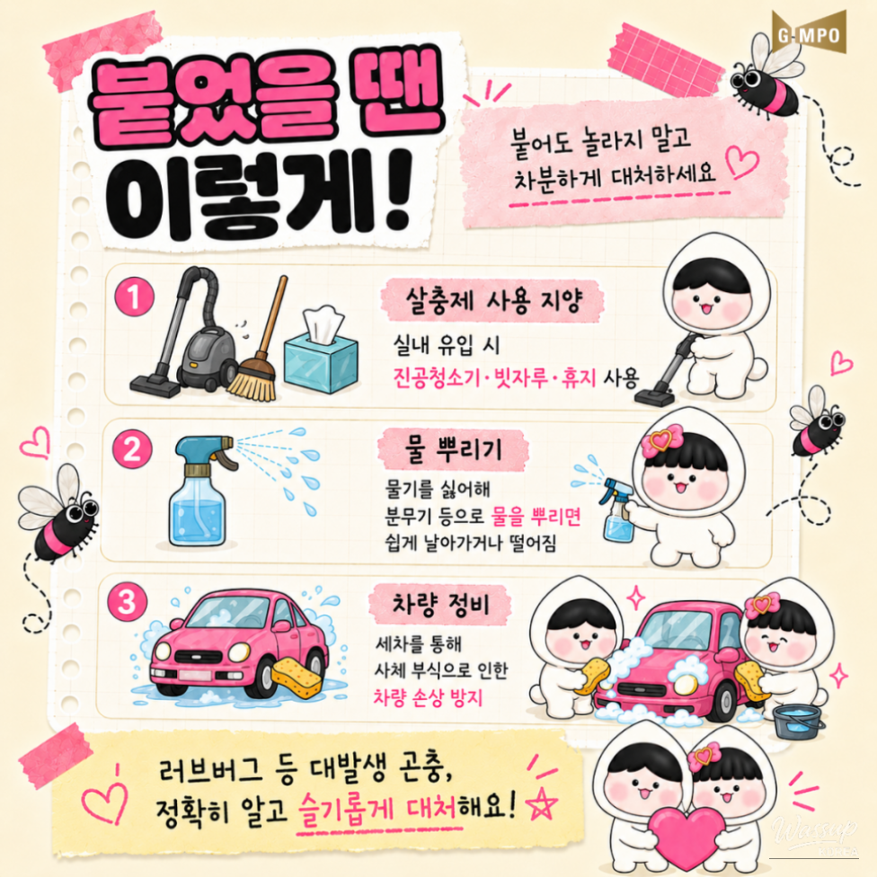 Dealing with Lovebugs and Other Insect Outbreaks_05