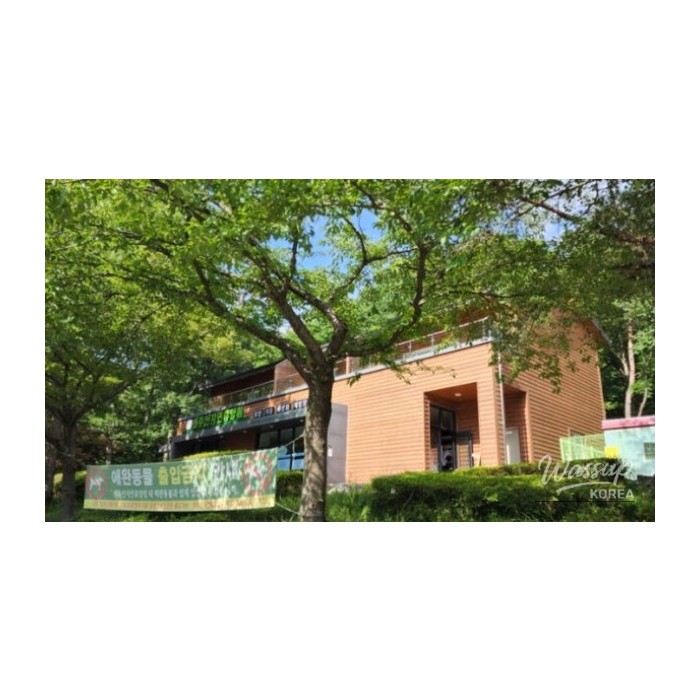 Discover the Healing Retreat of Seongjusansan Natural Recreation Forest in Boryeong3840