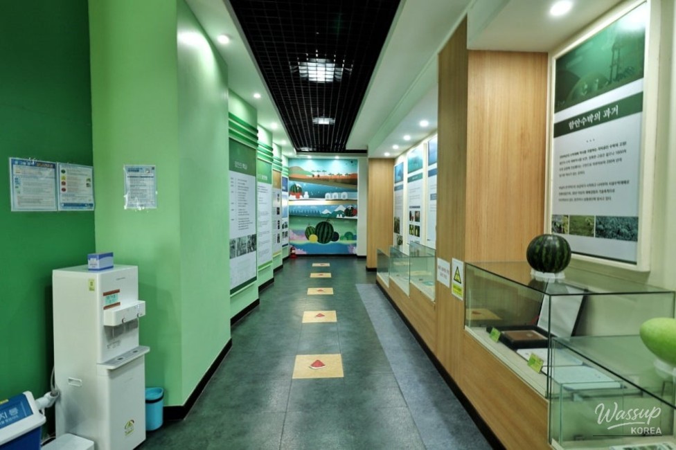 Exploring the Ham-an Watermelon Exhibition Hall_03