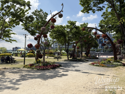 Exploring Ulsan's Taehwa River National Garden: A Spring Stamp Tour_04