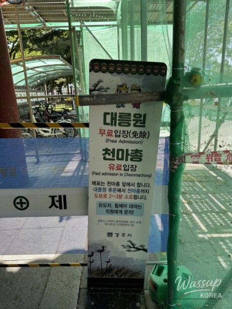 Spring Outing Course in Gyeongju: Hwanglidangil, Daereungwon, and Cheomseongdae_05