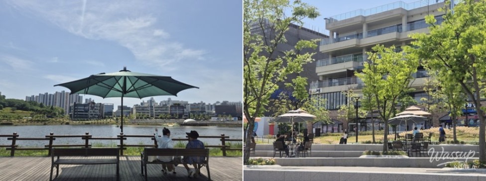Discovering the Healing Beauty of Eungye Lake Park in Siheung_03