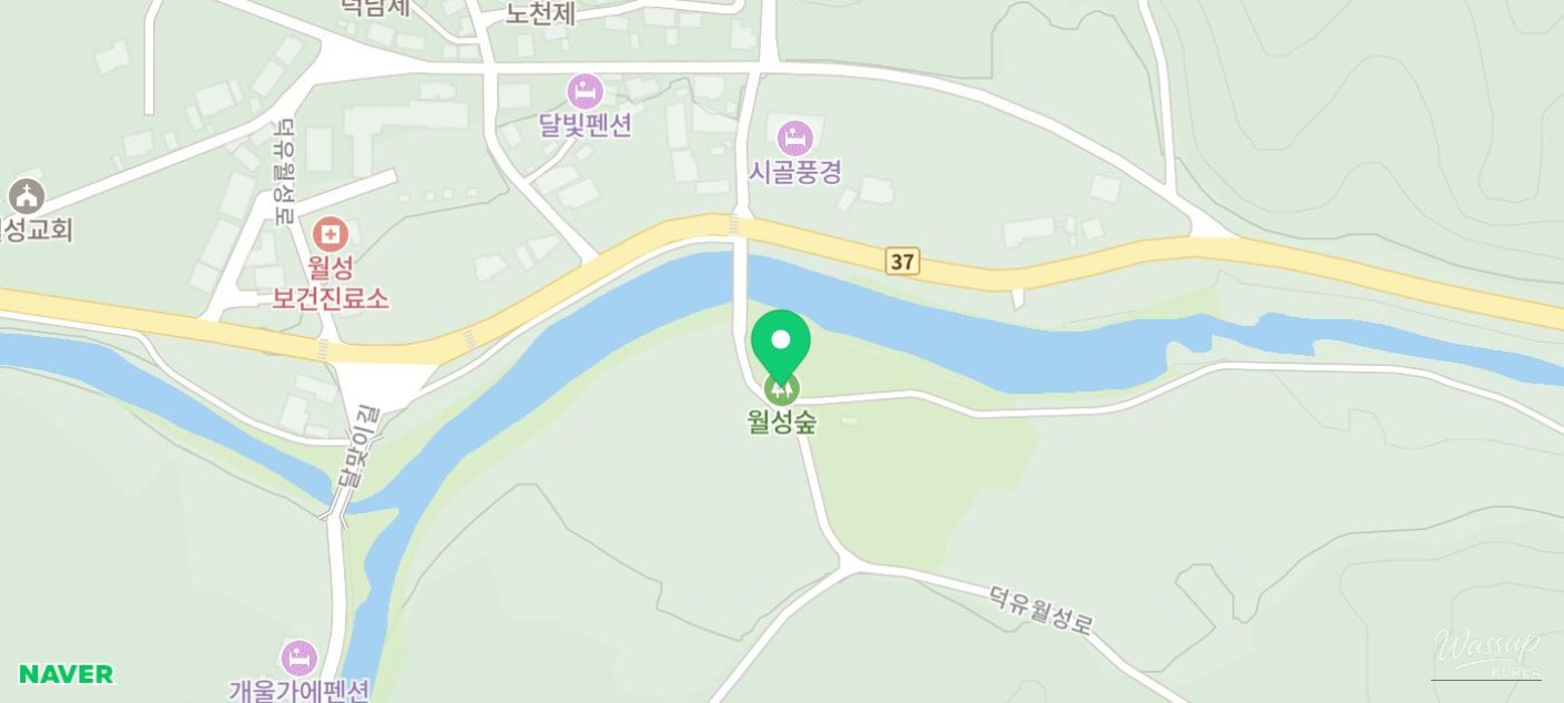 Exploring Wolsong Forest in Geochang_19