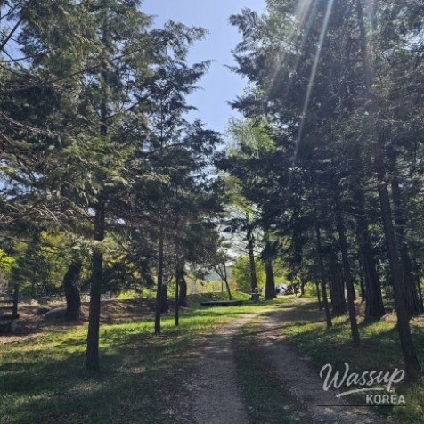 Exploring Wolsong Forest in Geochang_13
