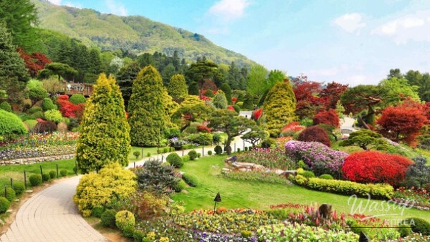 The Splendor of Spring at Garden of Morning Calm_01