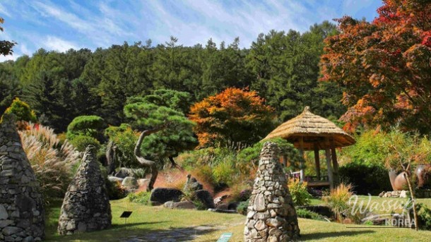 The Splendor of Spring at Garden of Morning Calm_03