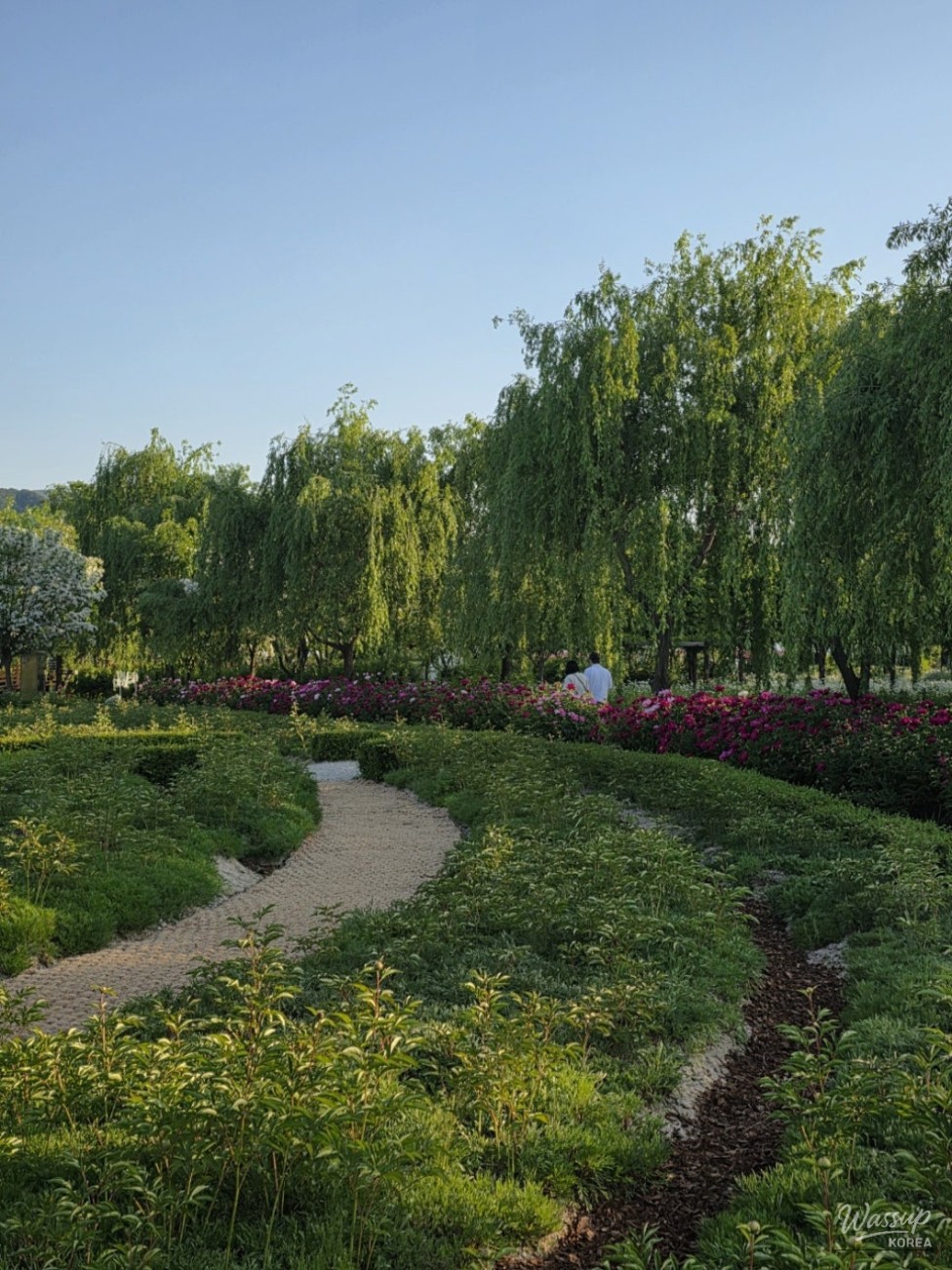 A Day of Healing at Geochang Changpo Garden_15