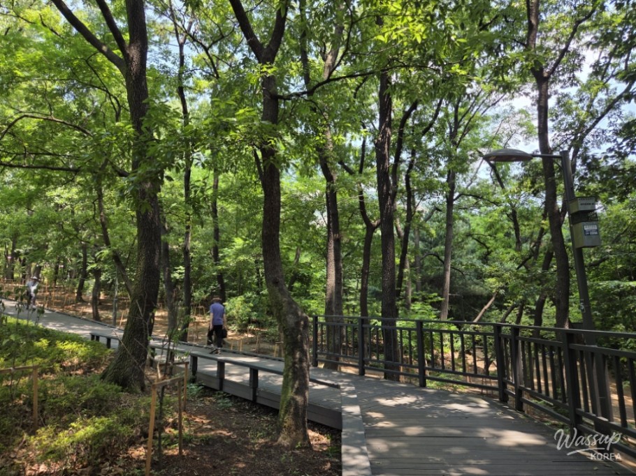 Explore the Refreshing Green Trails of Summer_04