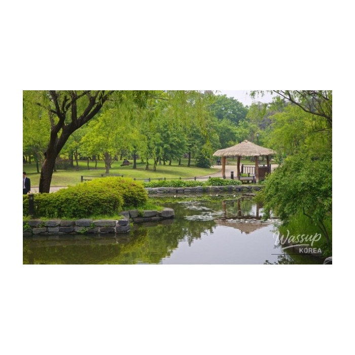Discovering the Hidden Oasis of Yeouido: Saetgang Eco Park3860