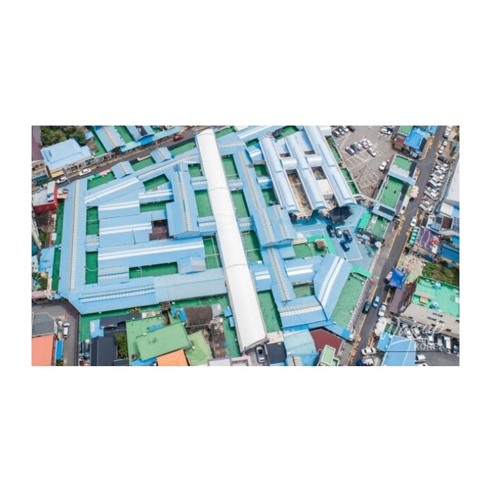 Exploring the Charms of Hwagae Market in Spring3879