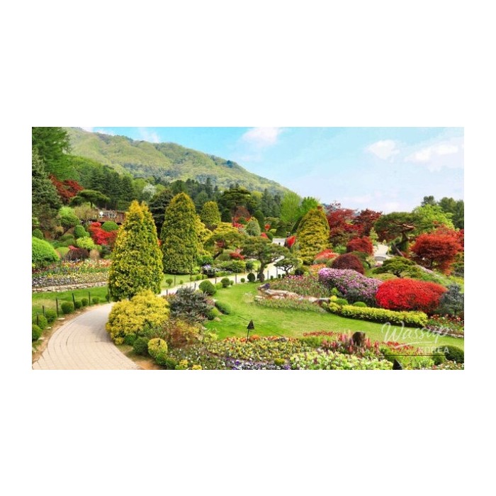 The Splendor of Spring at Garden of Morning Calm3875