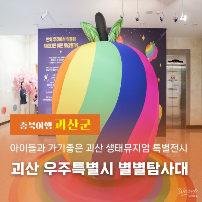 Special Exhibition at the Goesan Ecological Museum: Exploring the Universe with Kids3880