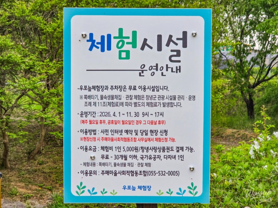 Experience the Upo Wetland: A Family Adventure_03