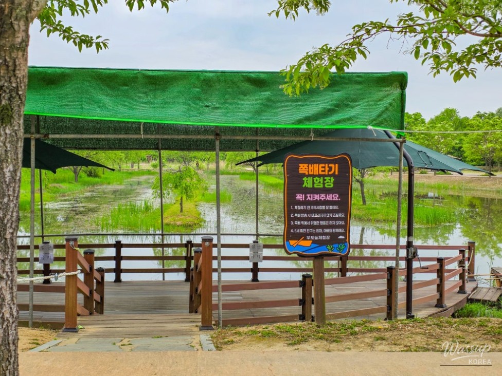 Experience the Upo Wetland: A Family Adventure_05
