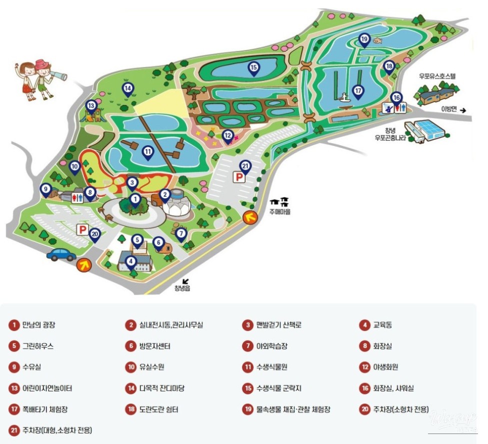 Experience the Upo Wetland: A Family Adventure_02