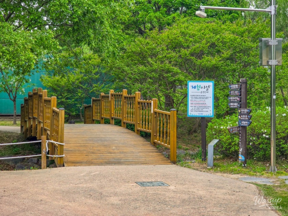 Experience the Upo Wetland: A Family Adventure_01