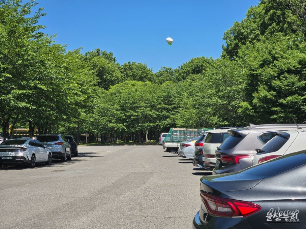 Discovering Sunbawi Park: A Hidden Gem in Ulsan_04