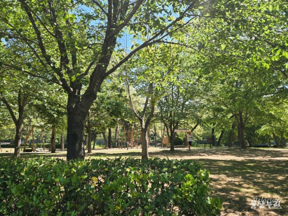 Discovering Sunbawi Park: A Hidden Gem in Ulsan_05
