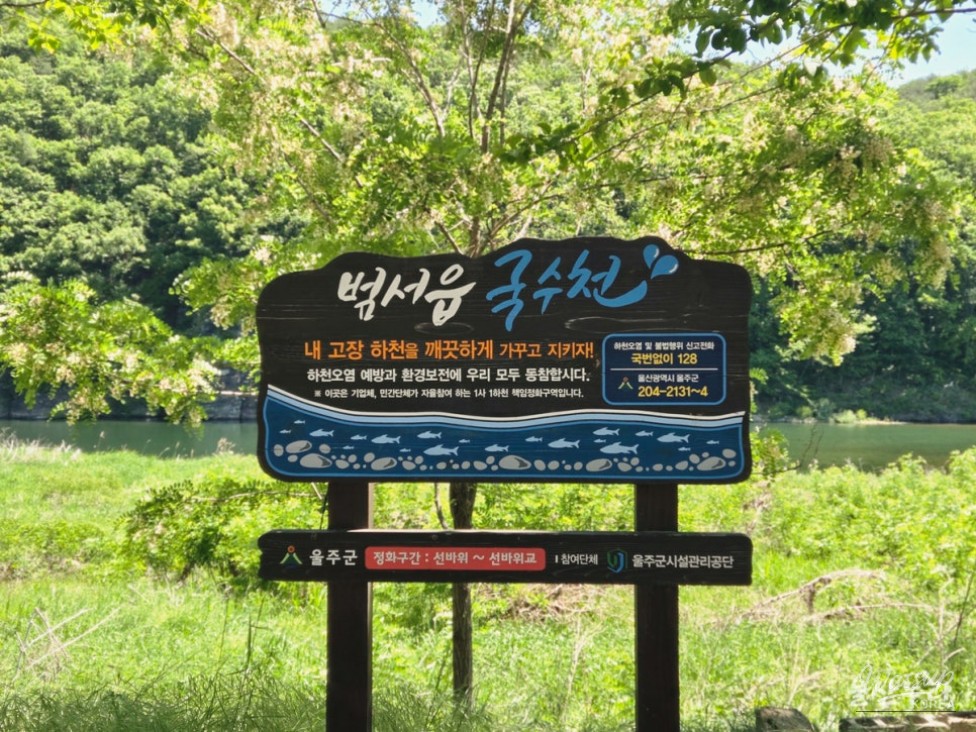 Discovering Sunbawi Park: A Hidden Gem in Ulsan_19