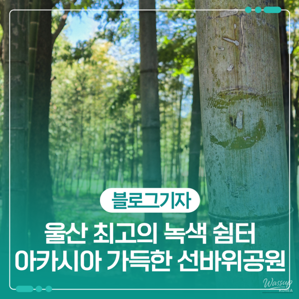 Discovering Sunbawi Park: A Hidden Gem in Ulsan_01