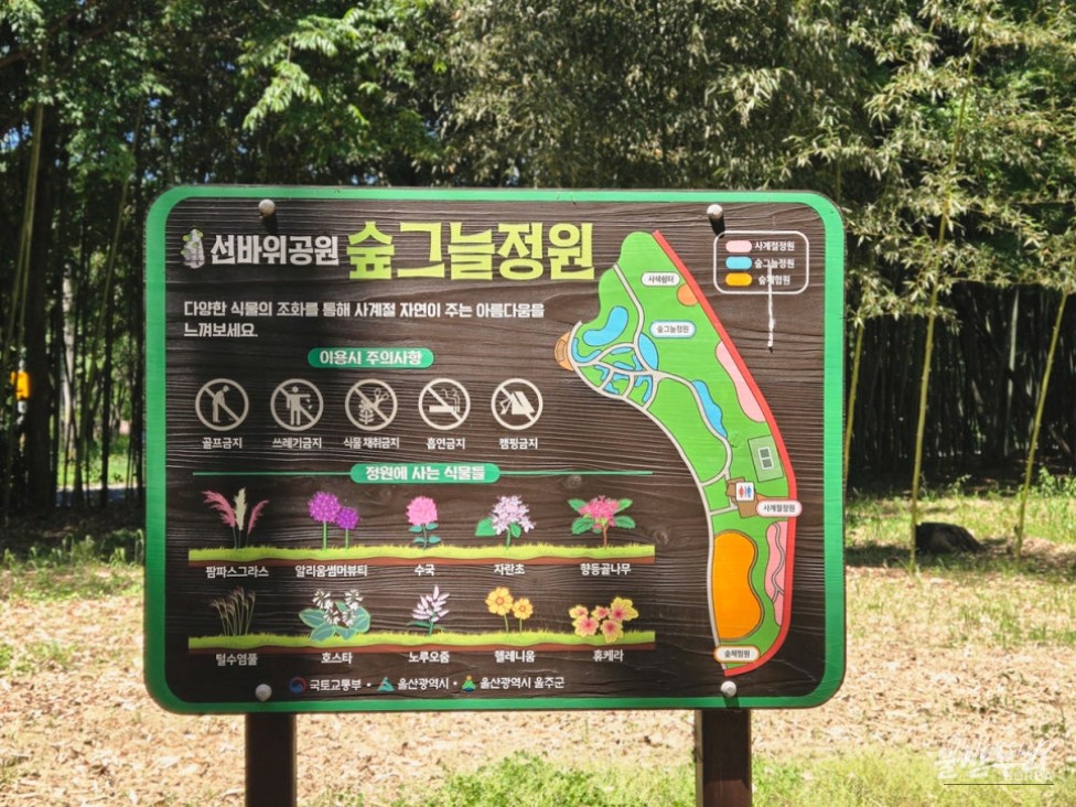 Discovering Sunbawi Park: A Hidden Gem in Ulsan_13