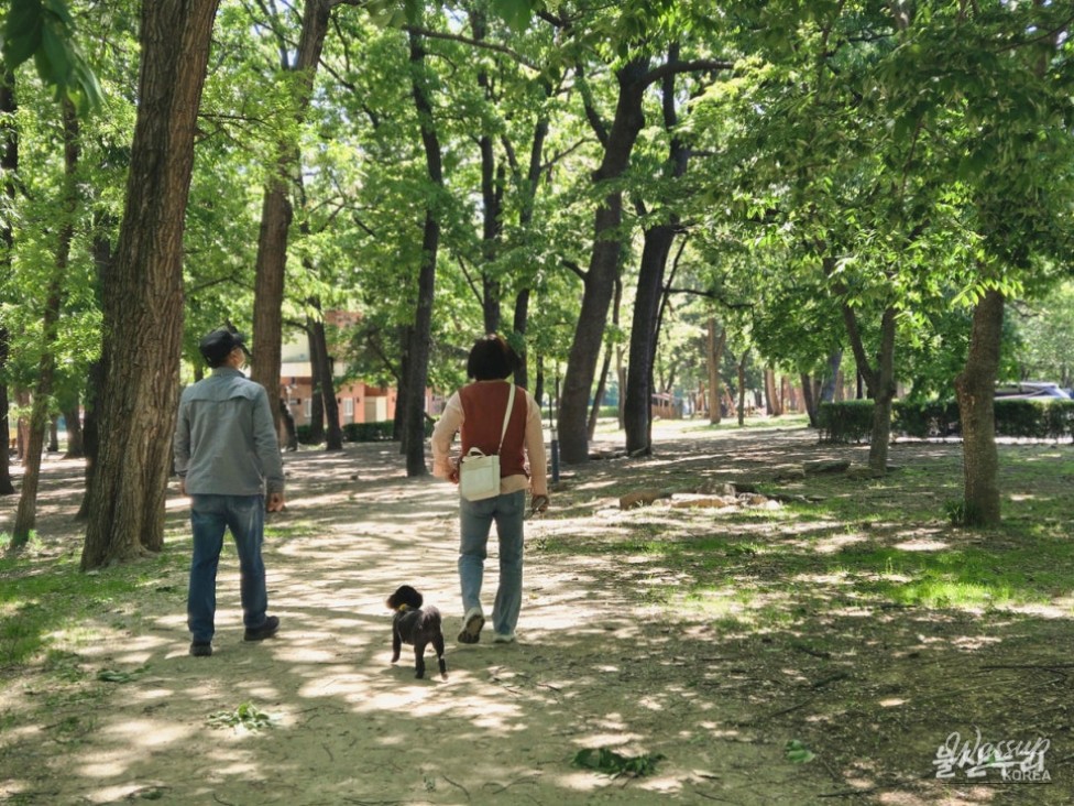 Discovering Sunbawi Park: A Hidden Gem in Ulsan_08