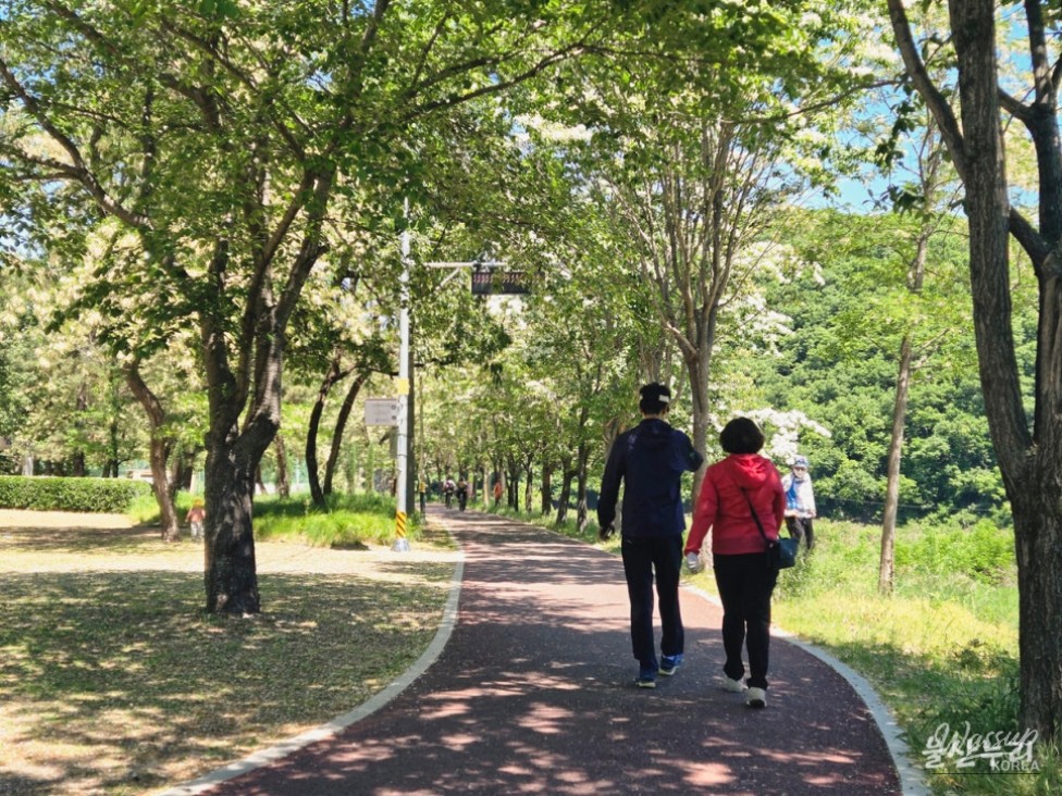 Discovering Sunbawi Park: A Hidden Gem in Ulsan_20