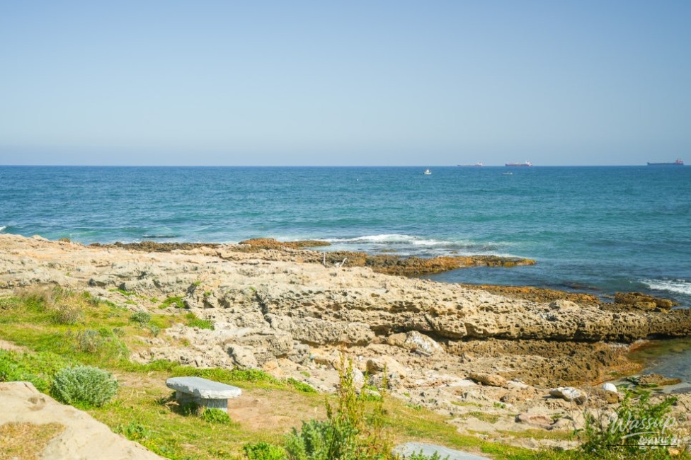 Exploring the Stunning Soldo Lighthouse in Ulsan_13