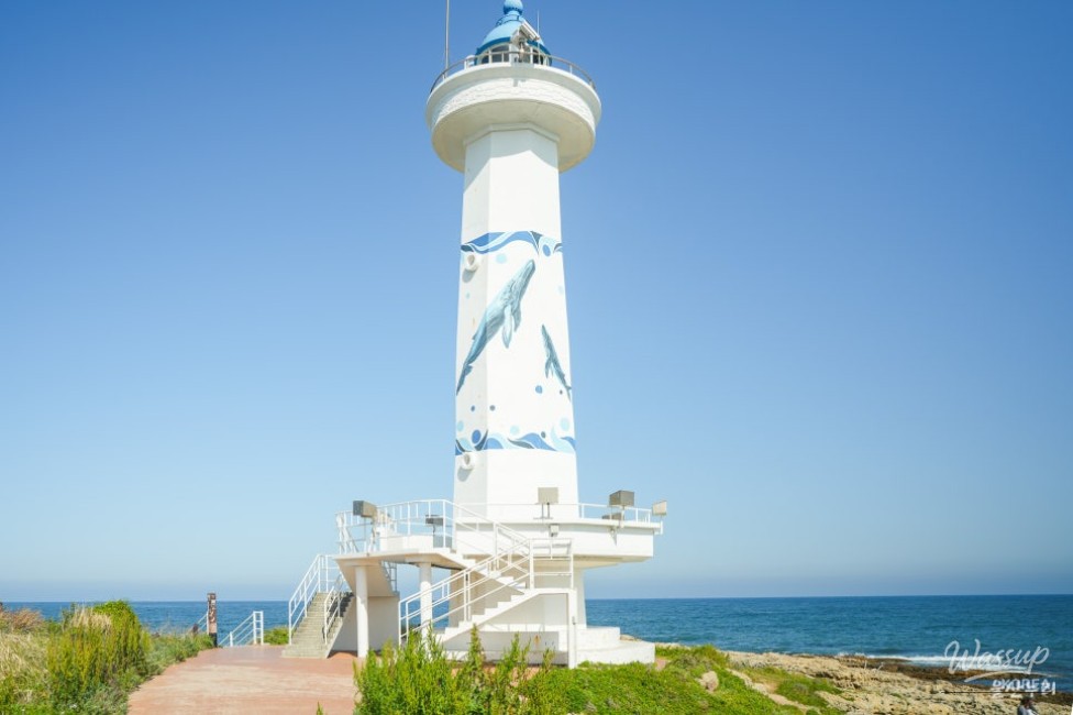 Exploring the Stunning Soldo Lighthouse in Ulsan_11
