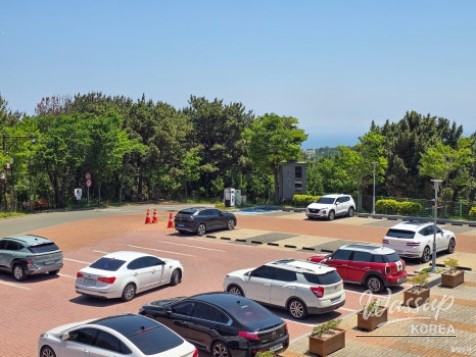 Exploring Ulsan Bridge Observatory: A Scenic Gem_03