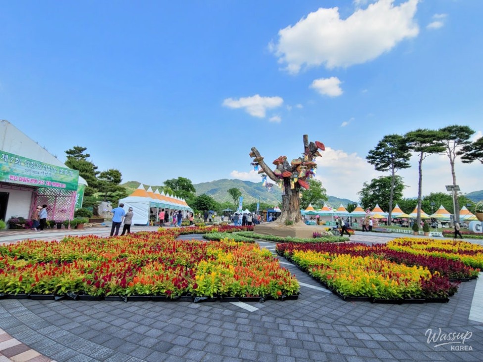 Gochang Changgokwon Spring Festival 2026_03