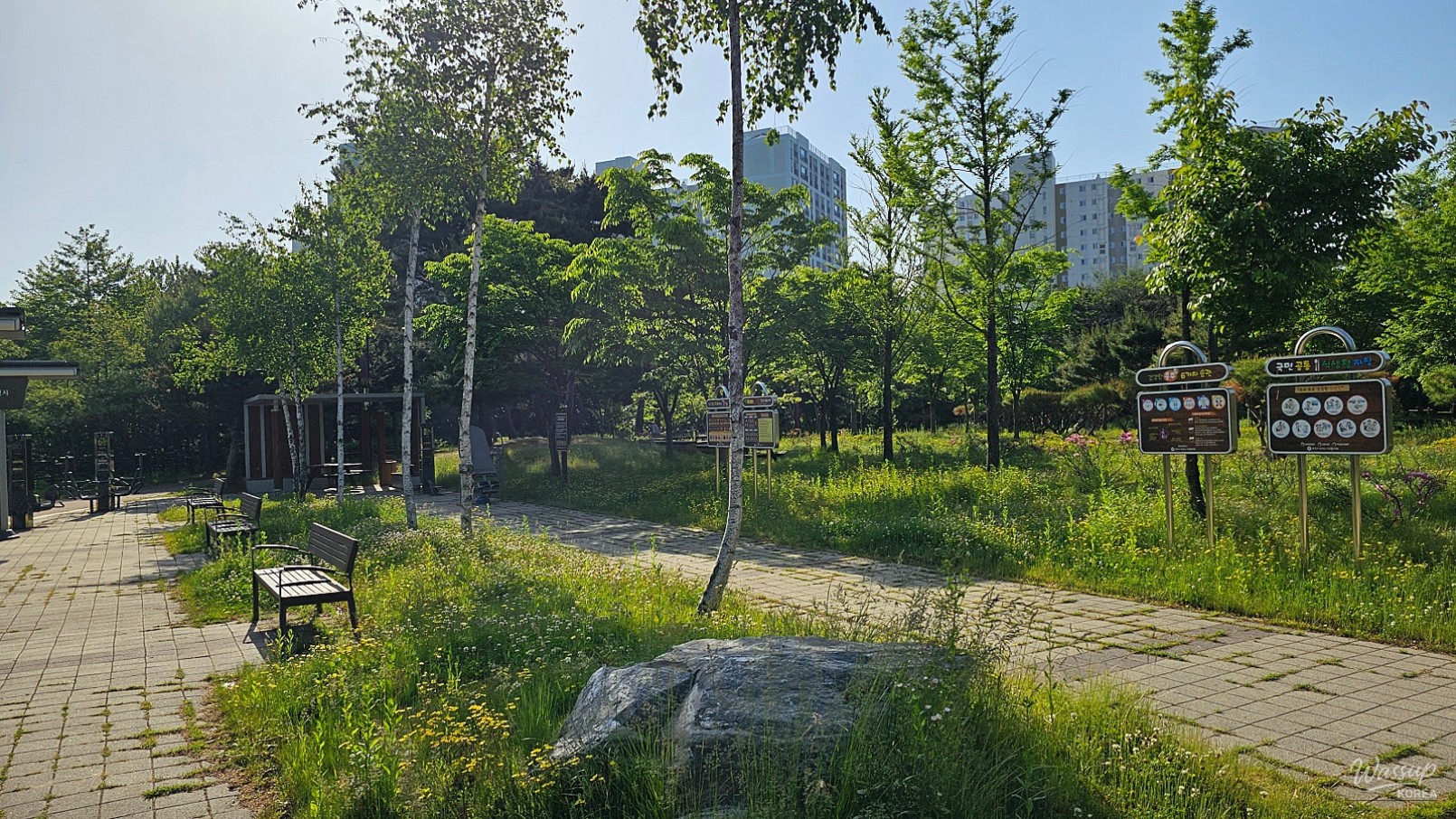 Exploring Gyelim Park and the Children's Forest Experience Center in Dangjin_11