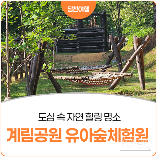 Exploring Gyelim Park and the Children's Forest Experience Center in Dangjin_14
