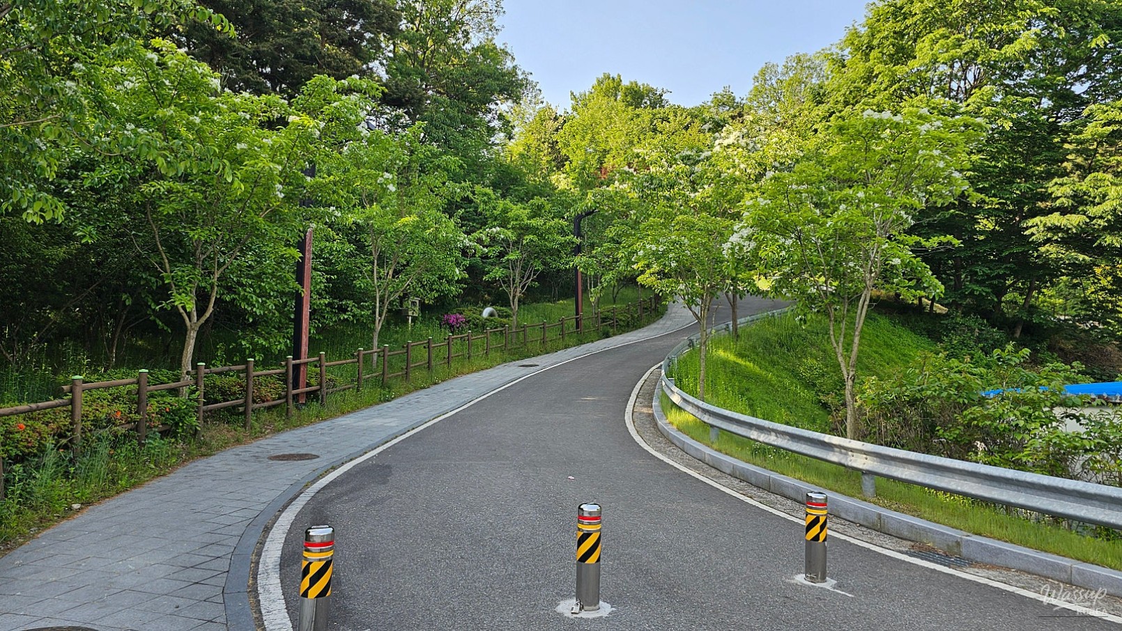Exploring Gyelim Park and the Children's Forest Experience Center in Dangjin_03