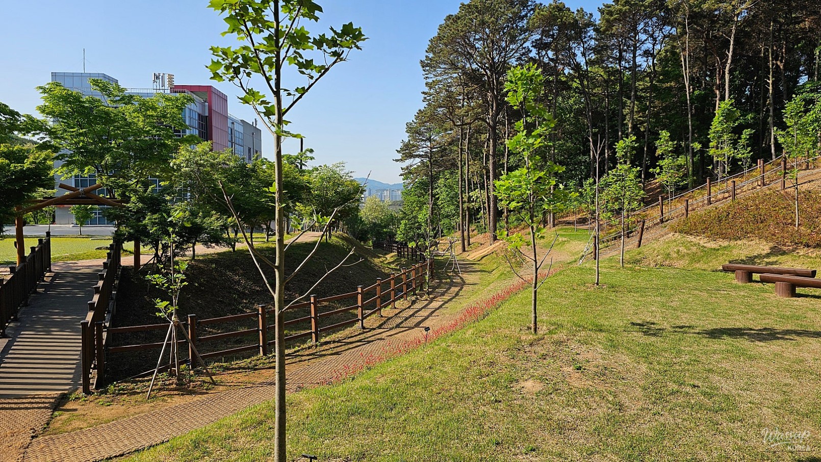 Exploring Gyelim Park and the Children's Forest Experience Center in Dangjin_08
