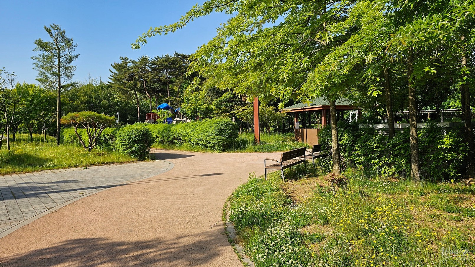 Exploring Gyelim Park and the Children's Forest Experience Center in Dangjin_04