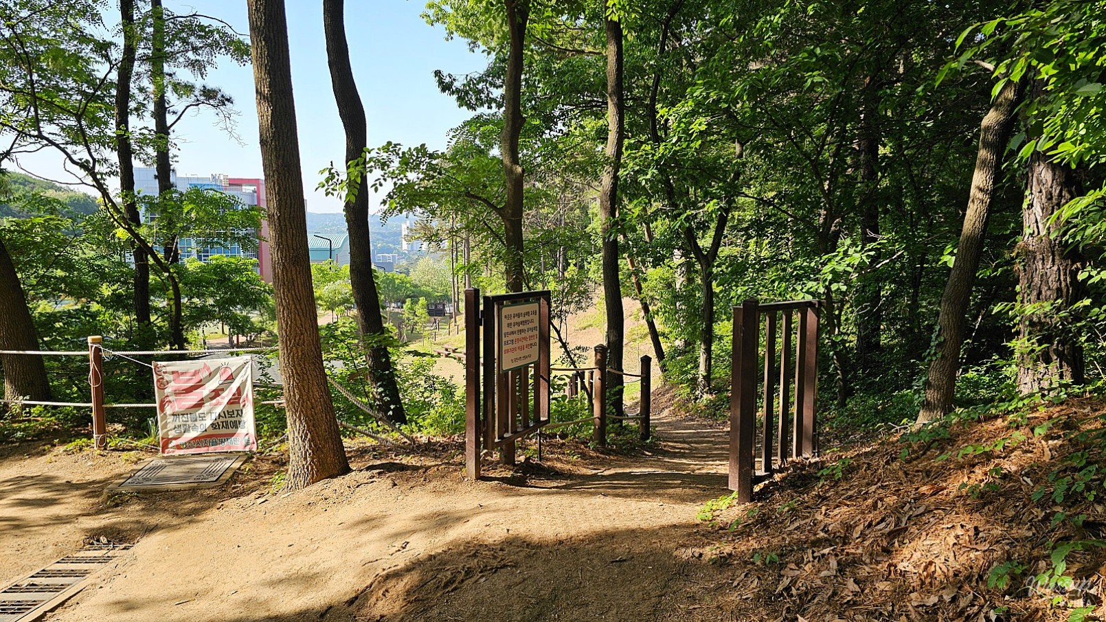Exploring Gyelim Park and the Children's Forest Experience Center in Dangjin_06