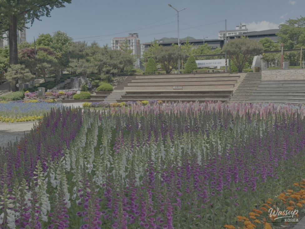 Spring Blooms in Jeungpyeong, Chungbuk: Must-Visit Spots in May_10