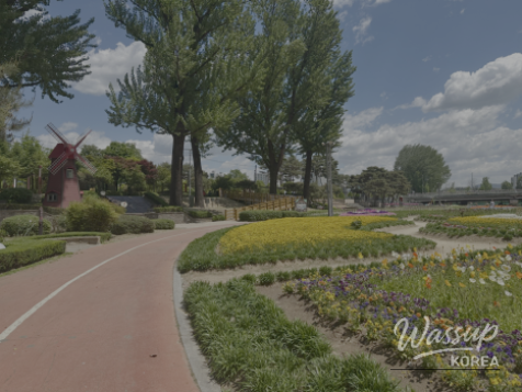 Spring Blooms in Jeungpyeong, Chungbuk: Must-Visit Spots in May_07