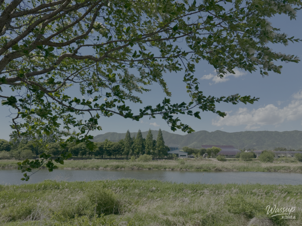 Spring Blooms in Jeungpyeong, Chungbuk: Must-Visit Spots in May_11