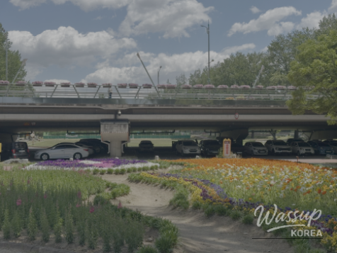 Spring Blooms in Jeungpyeong, Chungbuk: Must-Visit Spots in May_08