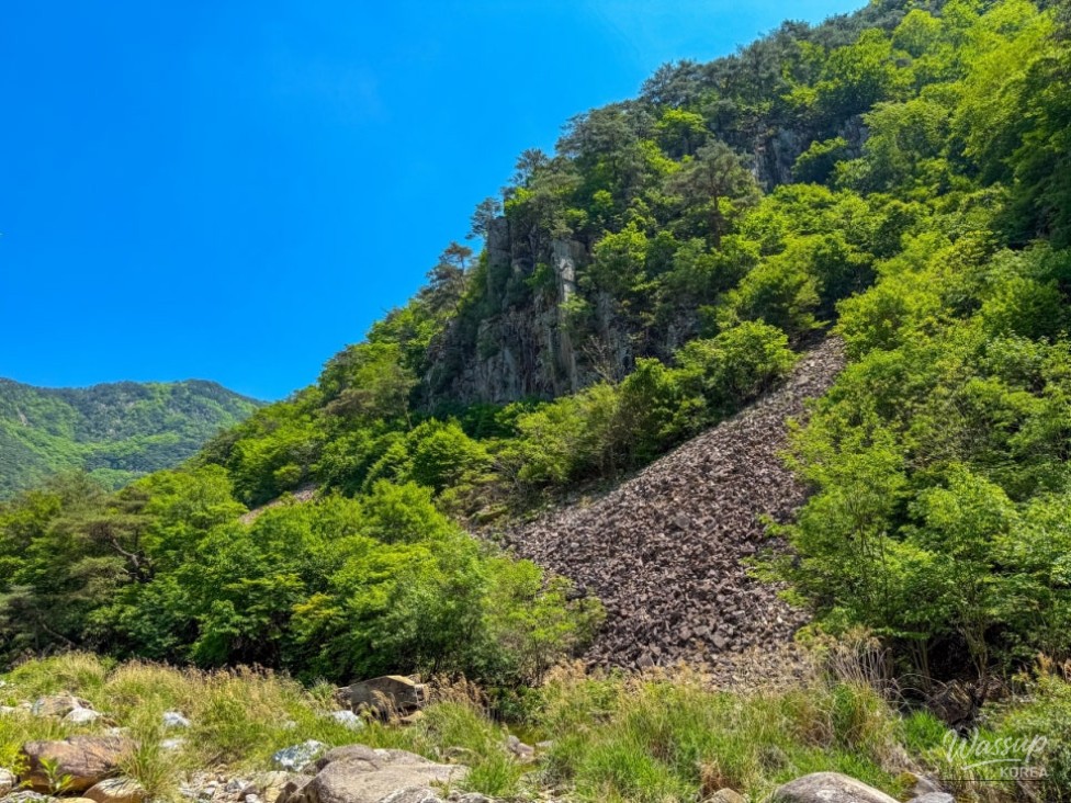 Exploring the Beauty of Goesan: Sokgyeong Rest Area_12
