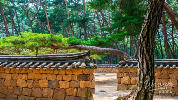 Exploring Cheongnyeongpo: A Hidden Gem in Yeongwol_04