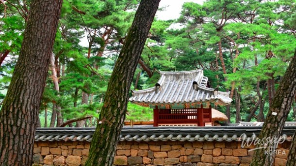 Exploring Cheongnyeongpo: A Hidden Gem in Yeongwol_03