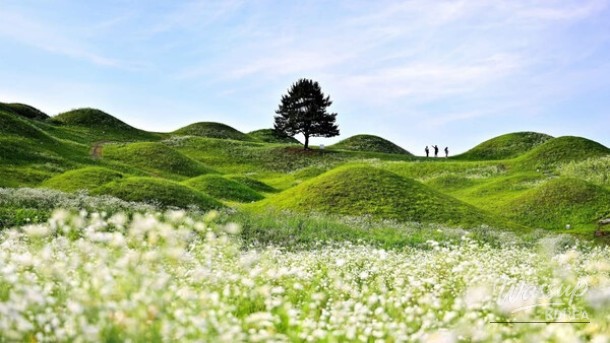 Discovering the Historical Beauty of Bullo-dong Tumuli in Daegu_02