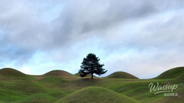 Discovering the Historical Beauty of Bullo-dong Tumuli in Daegu_05